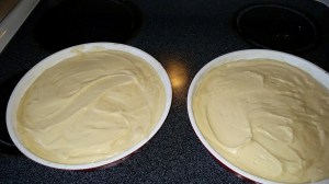 20150509_141909_resized